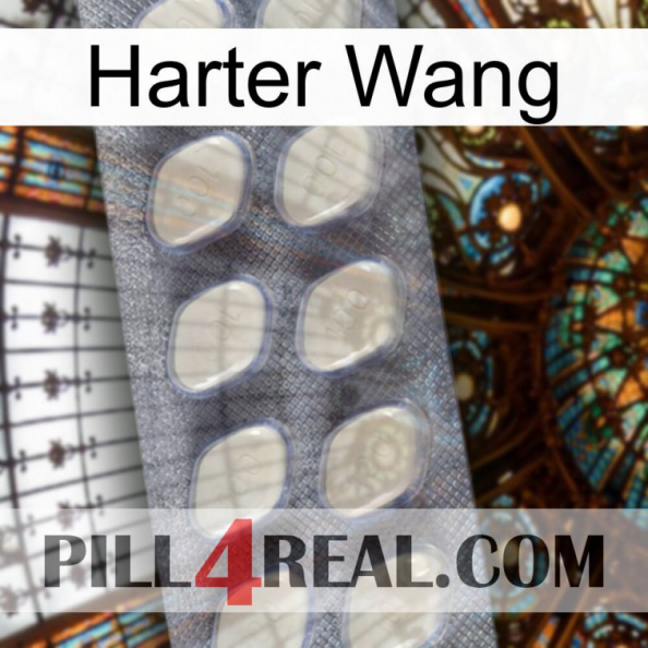 Hard Wang 08